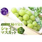 頬張る幸福感 ～緑の宝石・シャインマスカット～ 3kg以上(4～6房)　【冷蔵発送】
