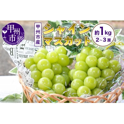 【先行受付】山梨のスイートエメラルド　シャインマスカット　約1kg(2房～3房)【常温配送】
