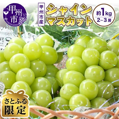 【さとふる限定】山梨のスイートエメラルド　シャインマスカット　約1kg(2房～3房)【常温配送】