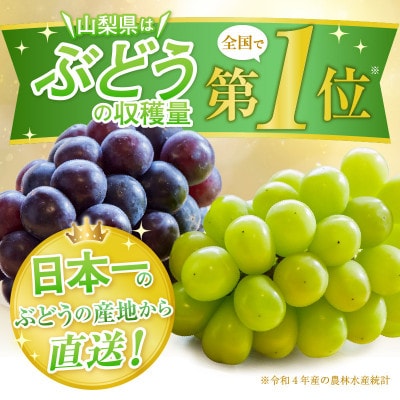 【先行受付】山梨のスイートエメラルド　シャインマスカット　約1kg(2房～3房)【常温配送】