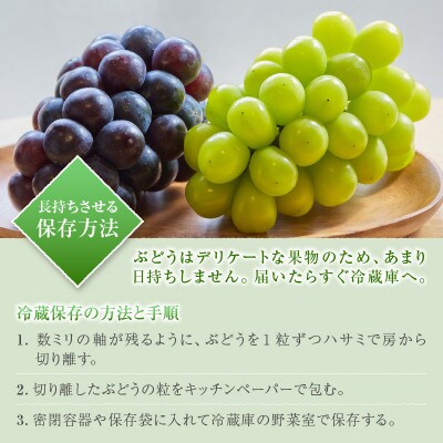 【先行受付】山梨のスイートエメラルド　シャインマスカット　約1.8kg(2房～3房)【常温配送】