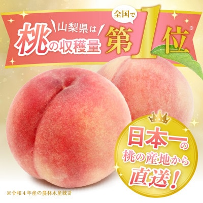 感謝を込めてお届け 農林水産大臣賞受賞経験の最高品質 朝採り桃 5kg(10～16玉)