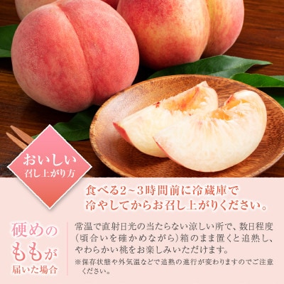 味自慢桃【訳あり品】を感謝込めて朝どれでお贈りします!2kg(4～8玉)