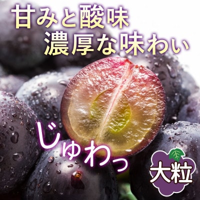 【さとふる限定】山梨県産 大房 ピオーネ 2房 約1kg ぶどう 甲州市