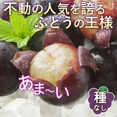 【さとふる限定】山梨県産の巨峰 2房 約1kg ぶどう 甲州市