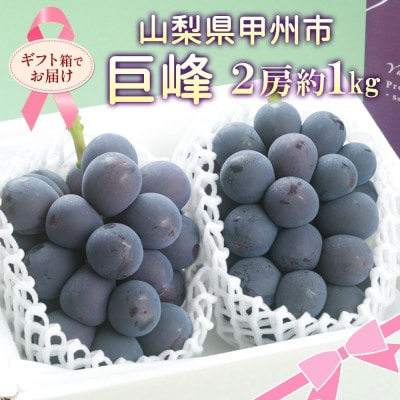 【さとふる限定】山梨県産の巨峰 2房 約1kg ぶどう 甲州市