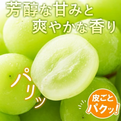 【さとふる限定】山梨県産のシャインマスカット 2房 約1kg ぶどう 山梨県 甲州市