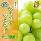 【さとふる限定】山梨県産の大房シャインマスカット 1房 約700g ぶどう 山梨県 甲州市