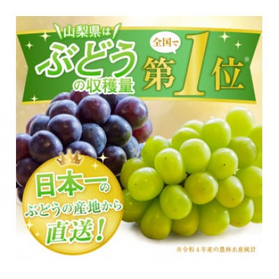 【生産者直送】パリッと甘い!!シャインマスカット2～3房(1.2kg以上)