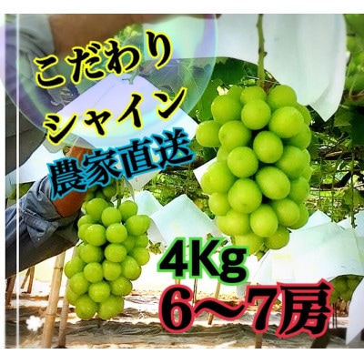【農家直送】パリっと大粒シャインマスカット　4キロ