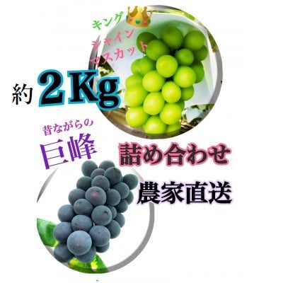 【生産者直送】巨峰&シャインマスカットMIX　約2キロ