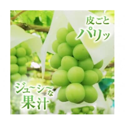 【生産者直送】巨峰&シャインマスカットMIX　約2キロ