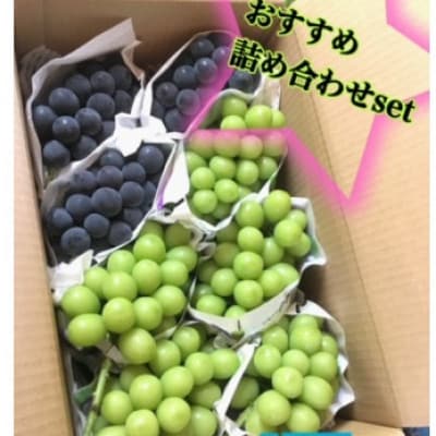 巨峰&シャインマスカットMIX 約4キロ