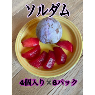 酸味と甘味の調和すもも【ソルダム】4個入り×6パック生産者直送【2025年発送】