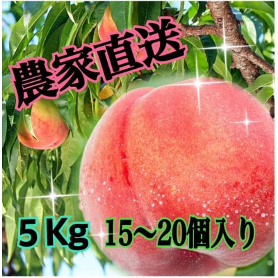 【生産者直送】ジューシー こだわりの朝採り桃 約5kg(15～20個)【2025年発送】