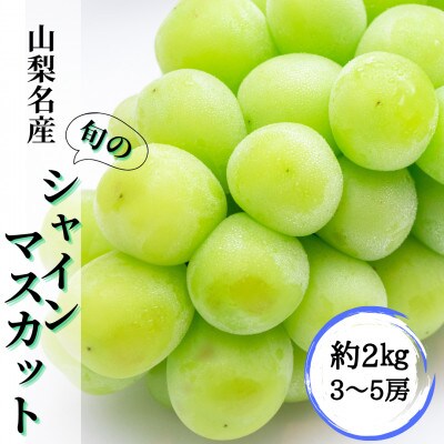 ◆2026年発送◆ 産地直送 山梨名産!旬のシャインマスカット 約2kg(3～5房)