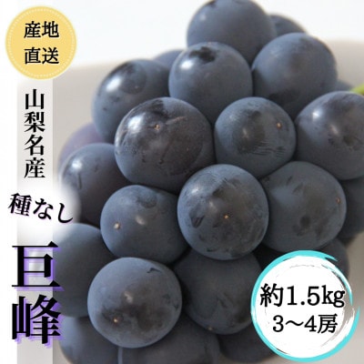 ◆2026年先行受付◆産地直送 山梨の恵み!種なし巨峰 約1.5kg(3～4房) | ふるさと納税のお礼品