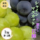 ◆2025年先行受付◆産地直送!人気のシャインマスカット&巨峰 2種食べ比べ 1kg(計2房)