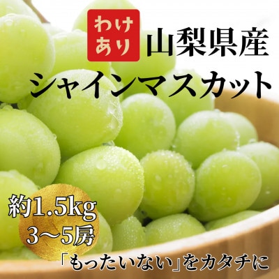 2026年発送【訳あり】山梨県産旬のシャインマスカット 約1.5kg(3～5房)ご家庭用
