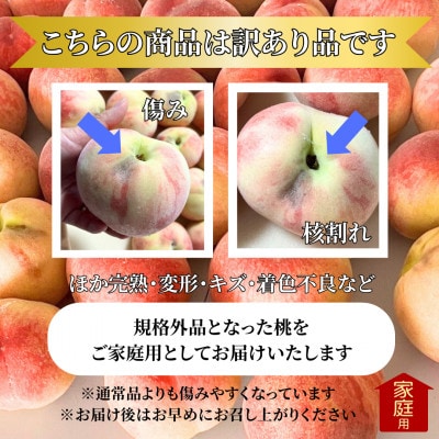 2026年発送【訳あり】山梨県産旬の桃 約3kg(8～12玉)ご家庭用