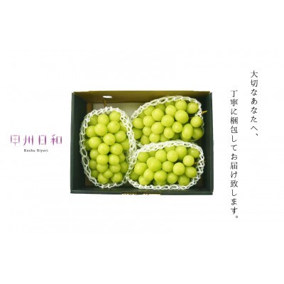 もぎたてジューシー!シャインマスカット約2kg