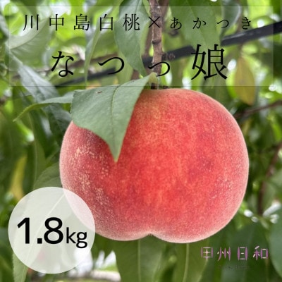 【2026年度】【品種指定】朝採れ!白桃系なつっ娘 約1.8kg C-132
