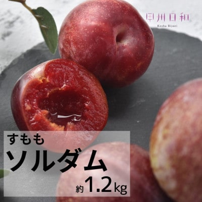 【2026年度】甲州市産すもも ソルダム 約1.2kg　B11-132