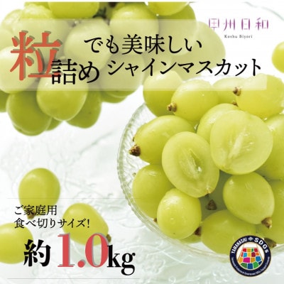 【2026年度発送】SDGs 訳あり 粒シャインマスカット 約1.0kg　B-136