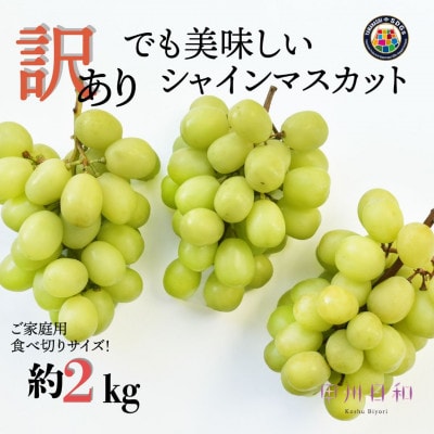 【2026年度発送】SDGs 訳あり シャインマスカット 約2.0kg(2～5房)B17-131