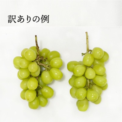 【2026年度発送】SDGs 訳あり シャインマスカット 約2.0kg(2～5房)B17-131