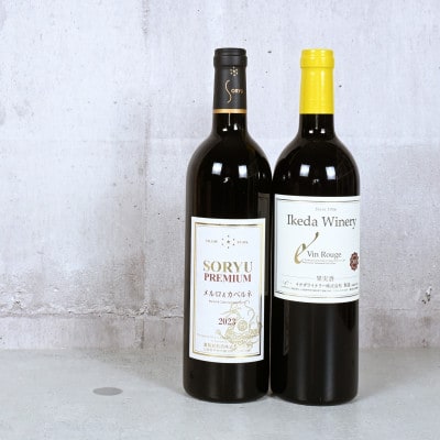 甲州市定番赤ワイン2本セット