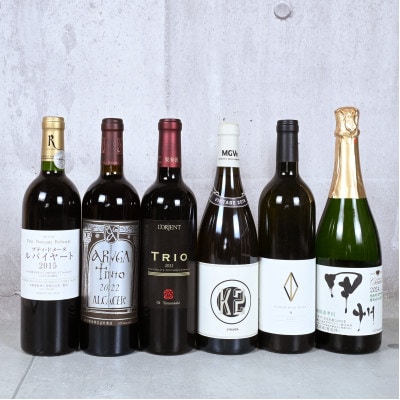 甲州市銘醸ワイン赤白6本セット