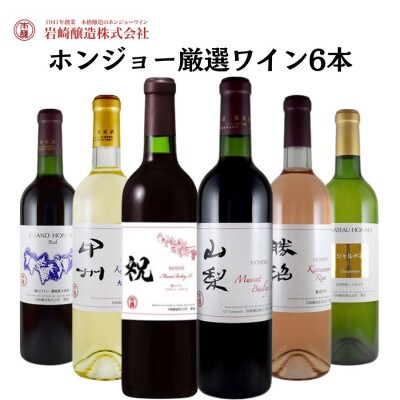 ホンジョーワインおススメ6本セット　E-624