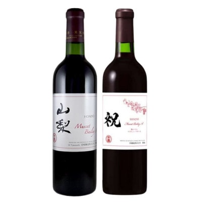 ホンジョーマスカットベーリーA飲み比べ赤ワイン2本セット　B2-677