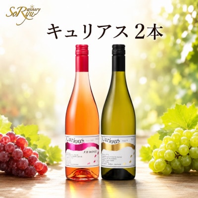 蒼龍葡萄酒が贈る『キュリアス』ロゼ白ワイン2本セット　	B15696