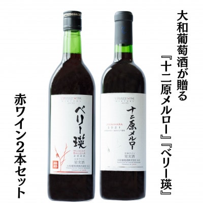 大和葡萄酒が贈る『十二原メルロー』『ベリー瑛』赤ワイン2本セット　B15694