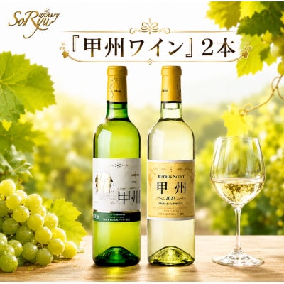 蒼龍葡萄酒『甲州ワイン』飲み比べ白ワイン2本セット　B12653