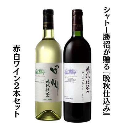 シャトー勝沼が贈る『晩秋仕込み』赤白ワイン2本セット　B12-655