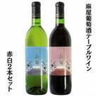 麻屋葡萄酒テーブルワイン赤白2本セット　B-696