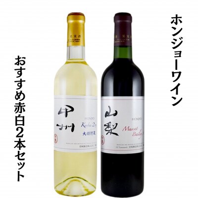 ホンジョーワインおすすめ赤白2本セット　B13653