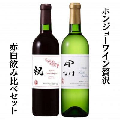 ホンジョーワイン贅沢赤白飲み比べセット　B15-699
