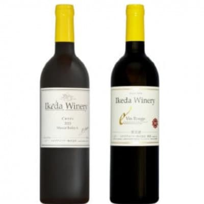イケダワイナリー 2本セット【マスカットベリーA / ヴァン・ルージュ】B12-676