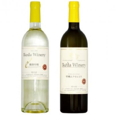 イケダワイナリー 2本セット【樽熟甲州 / 甲州エクセレント】B12-667