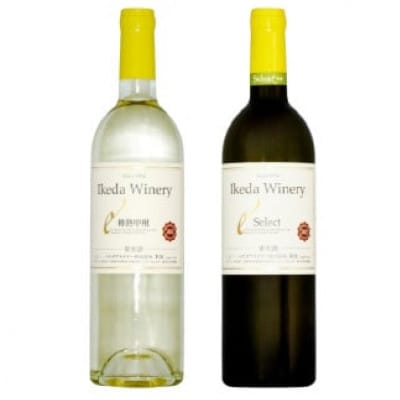 イケダワイナリー 2本セット【樽熟甲州 / セレクト白】B14-660