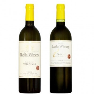 イケダワイナリー 2本セット【甲州エクセレント / セレクト白】B15-746