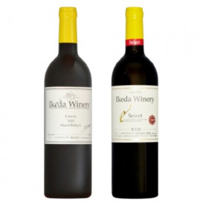 イケダワイナリー 2本セット【マスカットベリーA / セレクト赤】B15-748