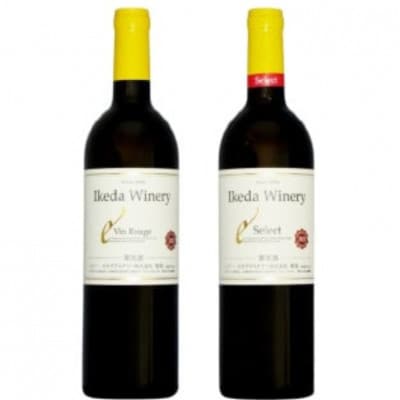 イケダワイナリー 2本セット【ヴァン・ルージュ / セレクト赤】B15-750