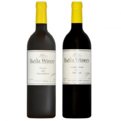 イケダワイナリー 2本セット【マスカットベリーA / グラン・キュヴェ メルロー】B18-664