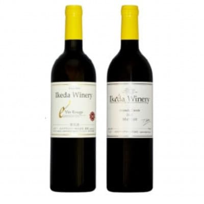 イケダワイナリー 2本セット【ヴァン・ルージュ / グラン・キュヴェ メルロー】B18-667