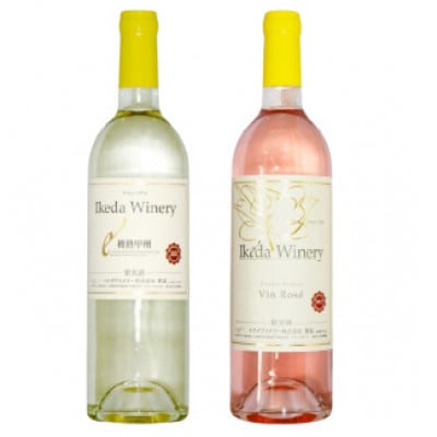 イケダワイナリー 2本セット【樽熟甲州 / ヴァン・ロゼ】B12-668